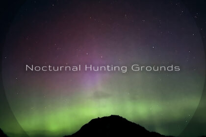Nocturnal Hunting Grounds Nocturnal Hunting Grounds