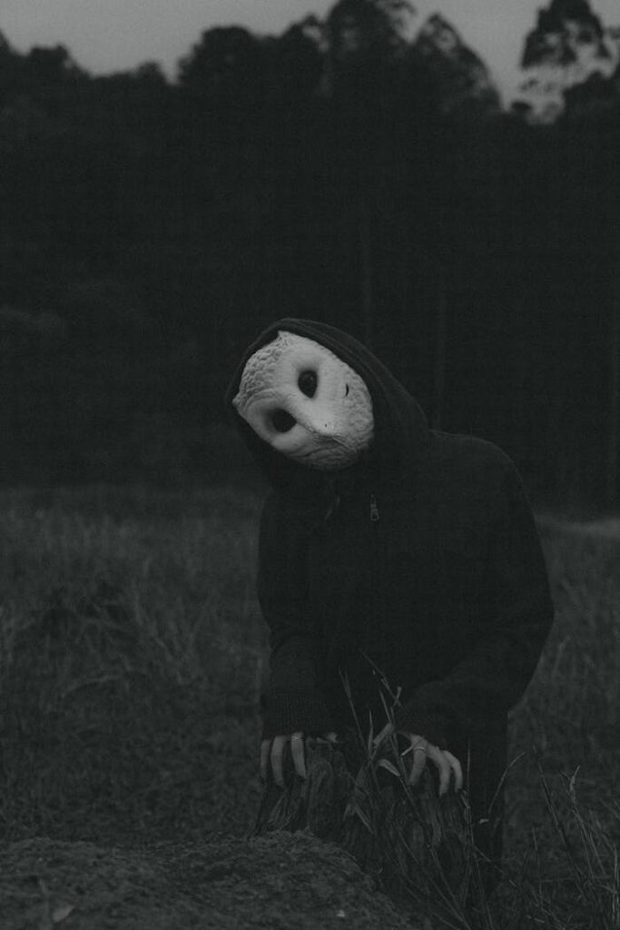 pexels photo 13662628 Creepy humanoid figure wearing an owl-like mask in a dimly lit field, evoking horror themes.