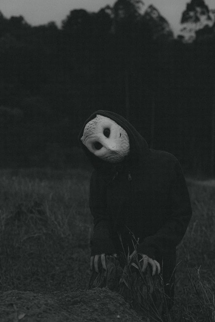 Creepy humanoid figure wearing an owl-like mask in a dimly lit field, evoking horror themes.