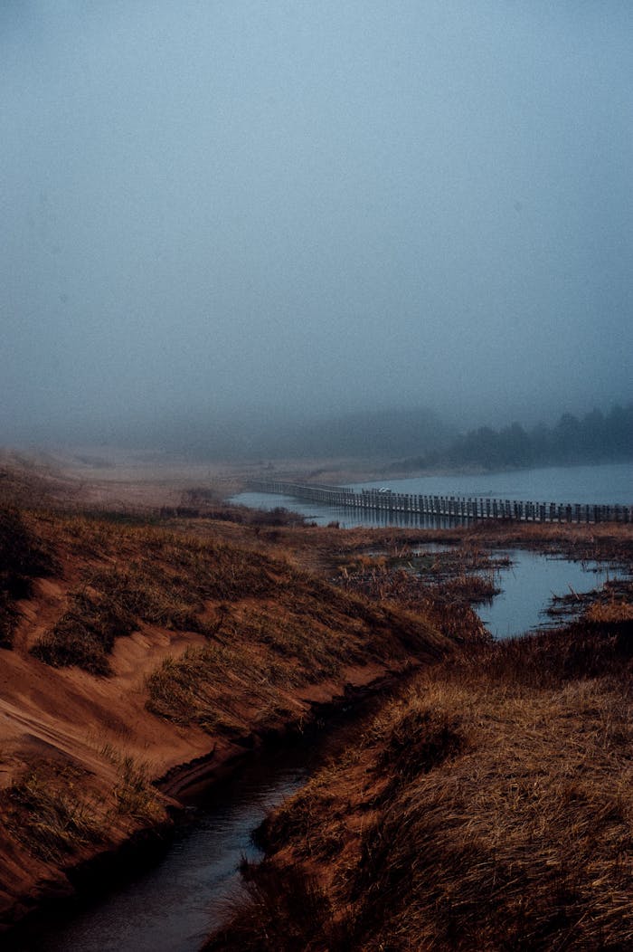 gallery-04 Misty river landscape with fog and grassy banks creating a serene atmosphere.
