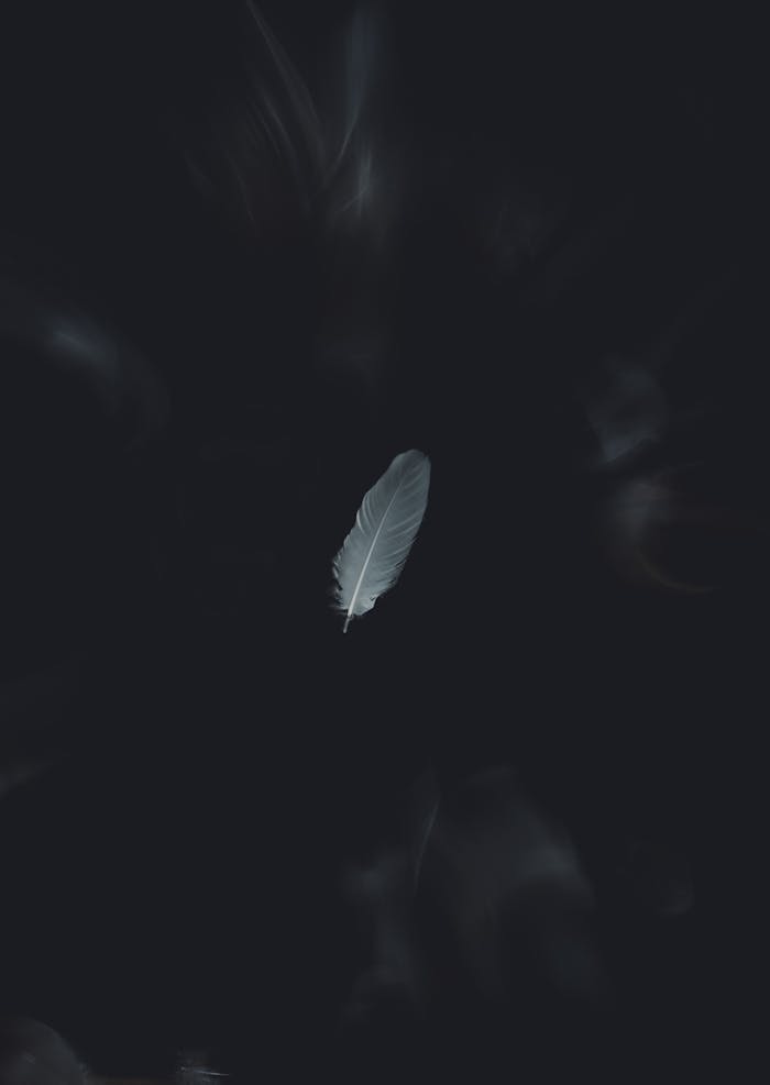 gallery-08 A solitary white feather gracefully falls on a dark minimalist background, creating a serene aesthetic.